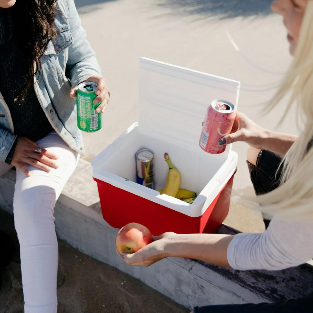 Cooler Laguna 48QT