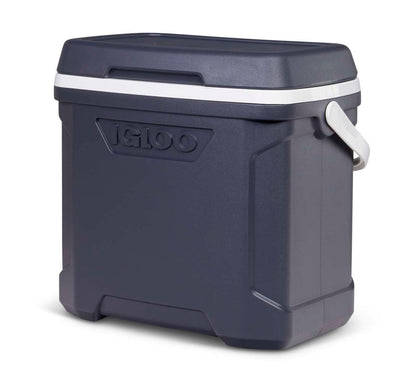 PROFILE II GRIS 30QT